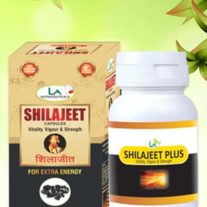 ShilaJeet Plus