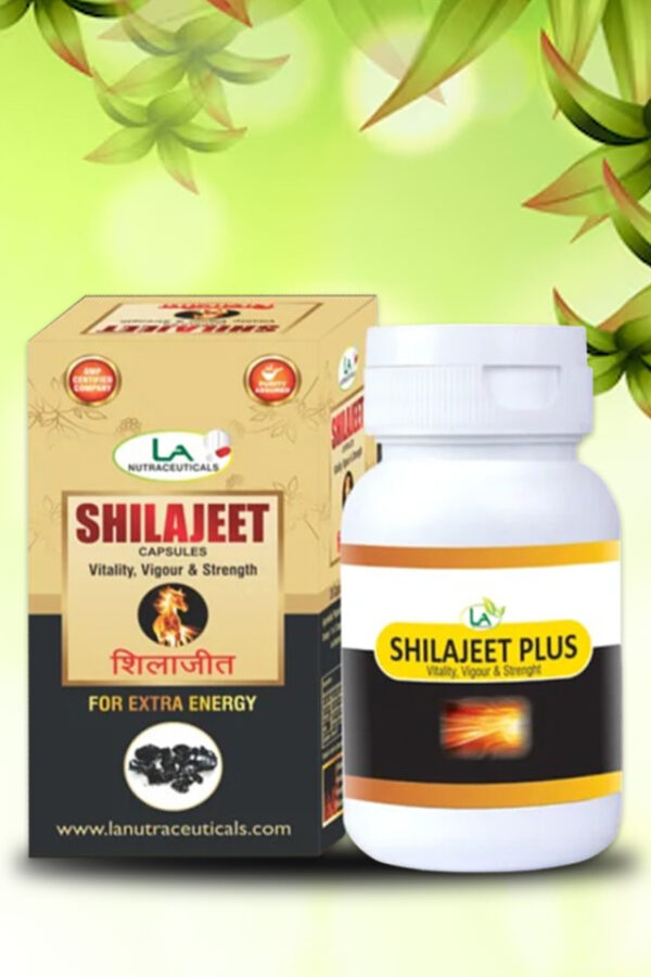 ShilaJeet Plus